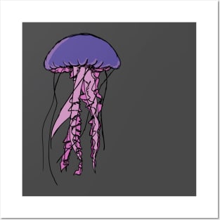 Jellyfish Posters and Art